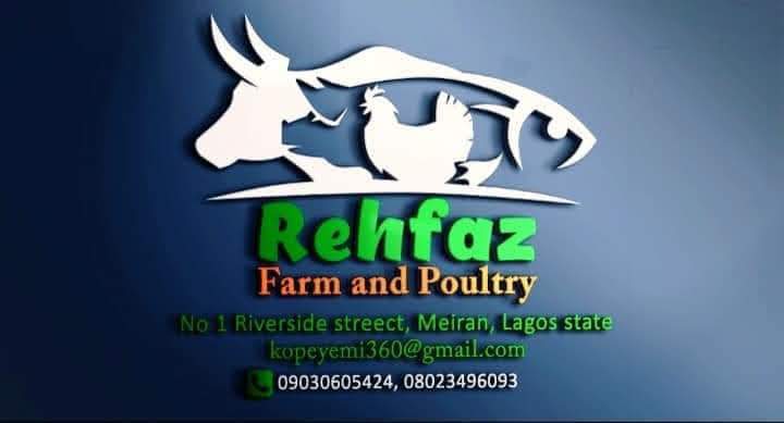 FB_IMG_1652098641757